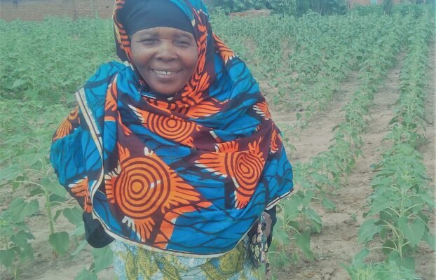 Hybrid seeds show promise for Dodoma farmers