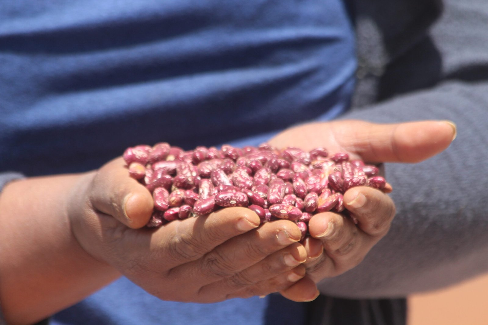 Pulses for Inclusive Growth (PIG) project