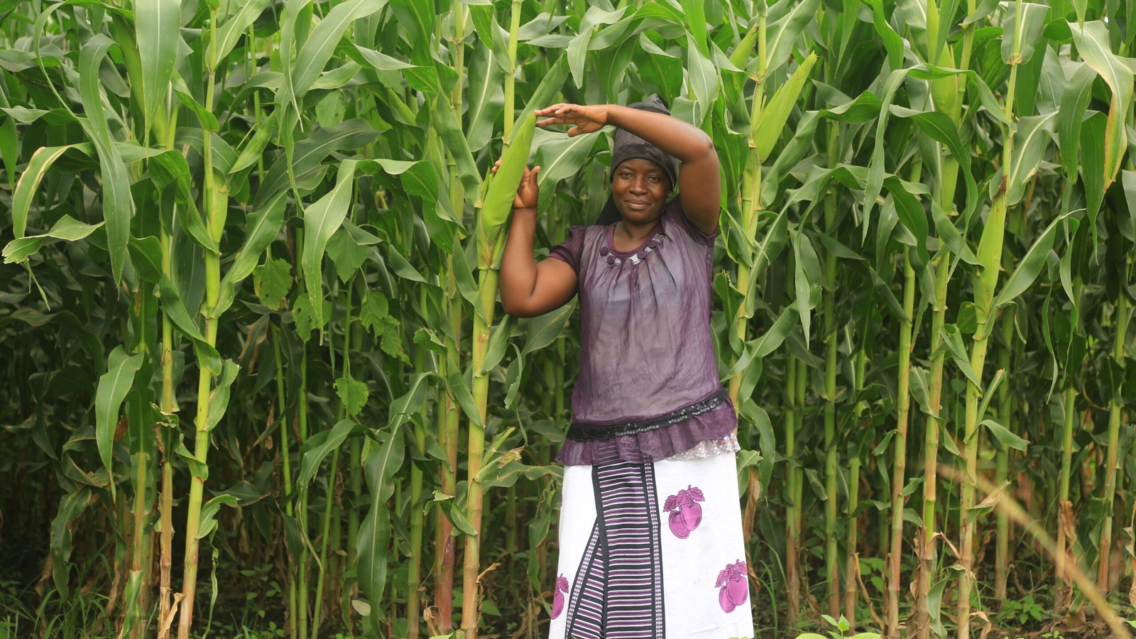 Route to Market: Sustainable growth opportunities for SME’s in Tanzania’s maize value chain