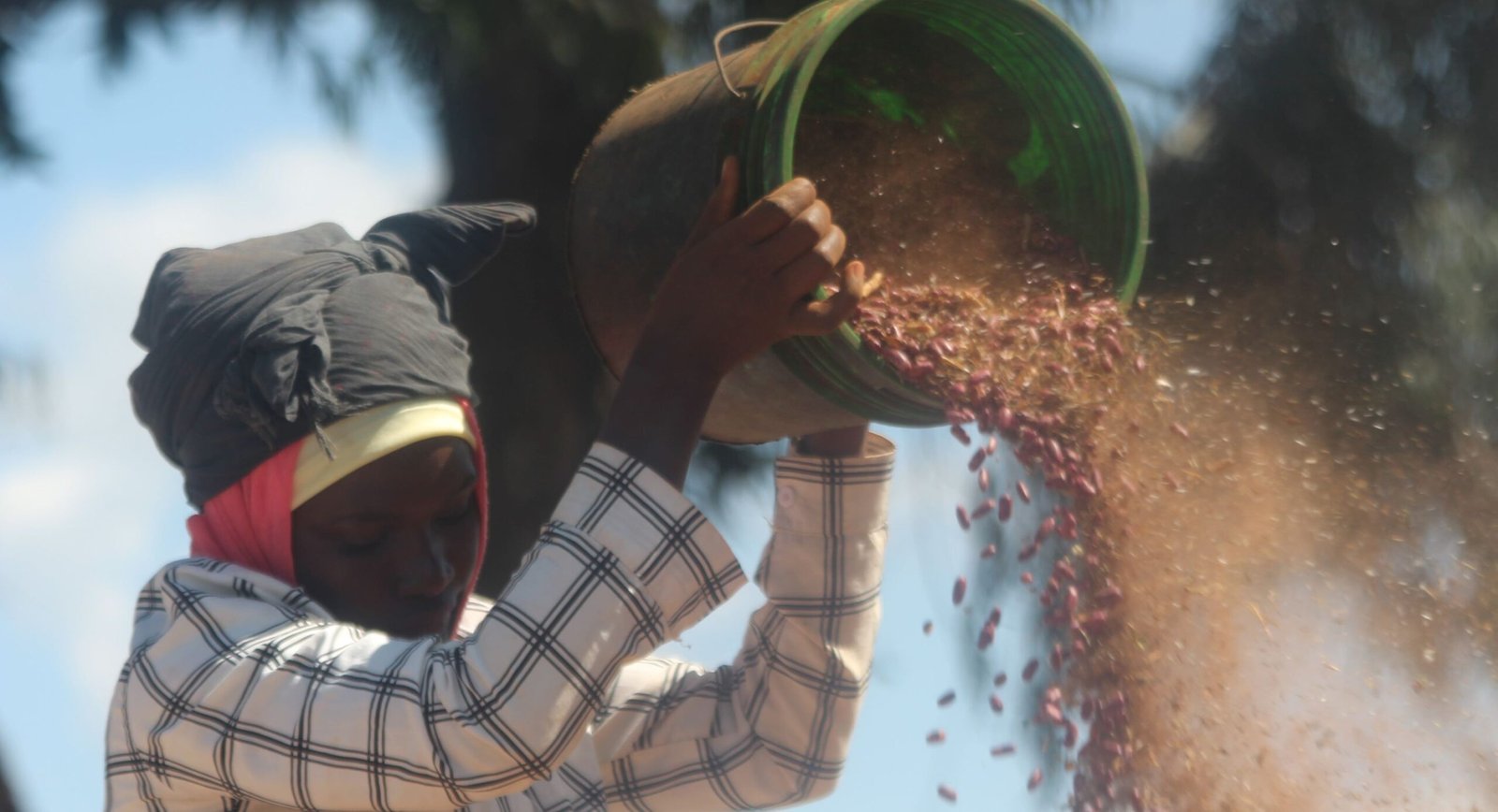 AMDT elevates smallholder farmers in the Africa Food Systems Forum 2023